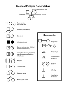 Standard pedigree nomenclature; diagram shows common symbols used to draw a pedigree.