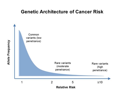 Definition of breast - NCI Dictionary of Cancer Terms - NCI