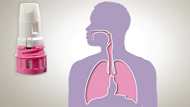 Using a Dry Powder Inhaler